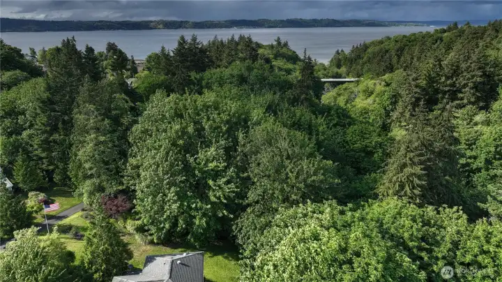 Backing up to Dash Point st park which has trails to the sound