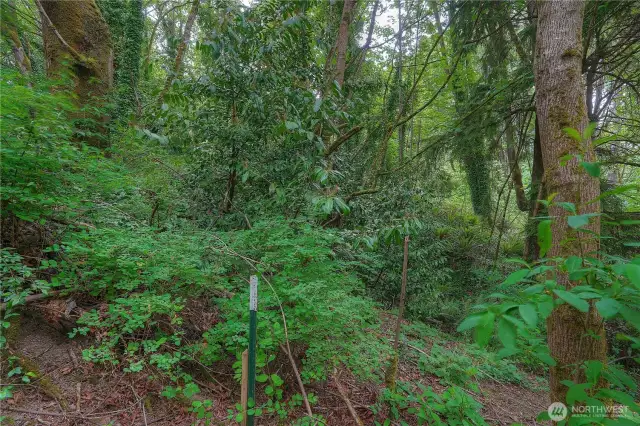Stake marks the edge of the property