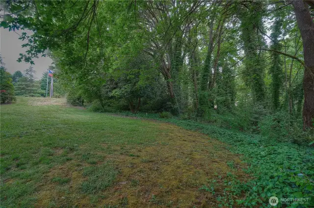 Your house could fit nicely where these trees are