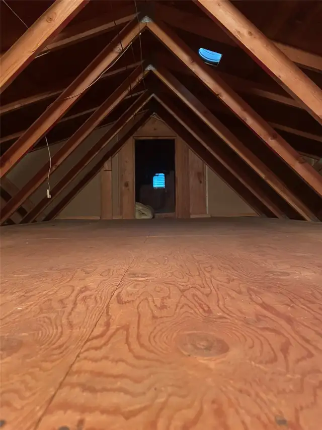 Attic. Lots of space.