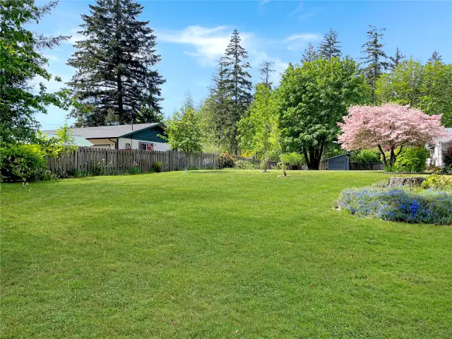 view from driveway out to left of house.