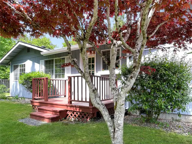 Back door to laundry room.