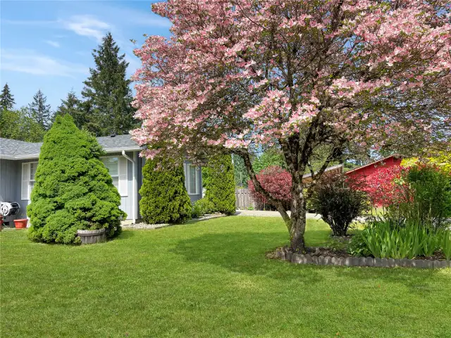 Side of yard.