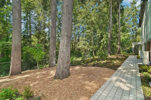 Common space are the back of the development
