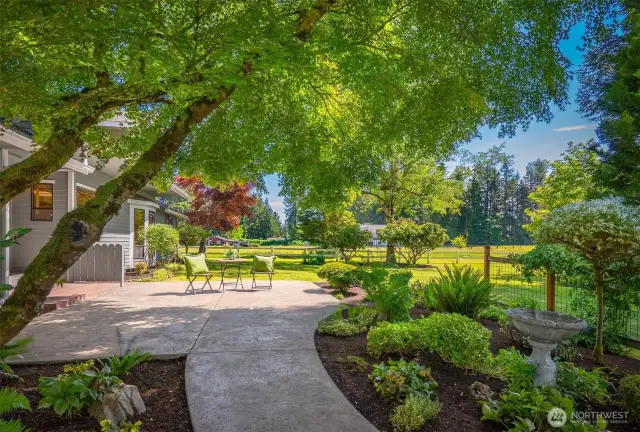 Expansive concrete patio!