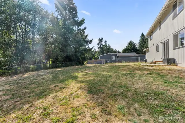 Backyard