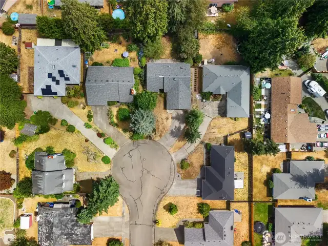 Aerial view of the neighborhood and cul de sac.