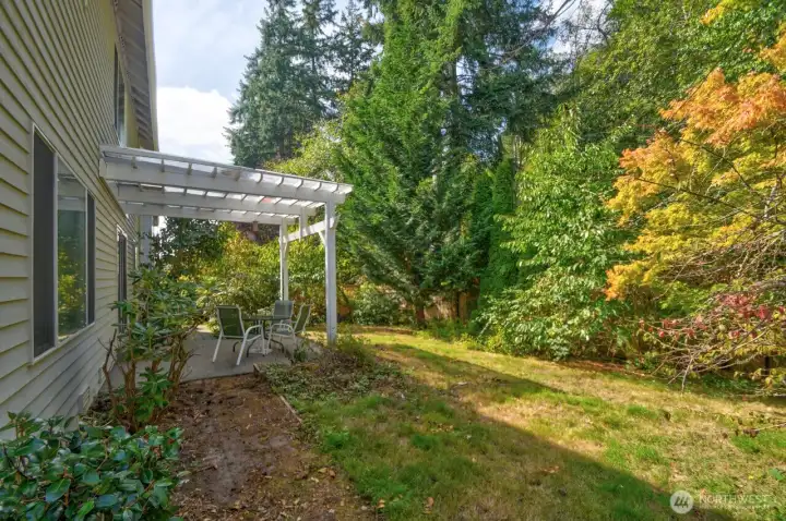 Decent sized backyard