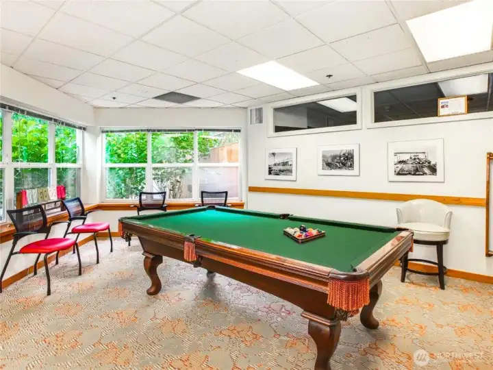 Fancy a game of pool?