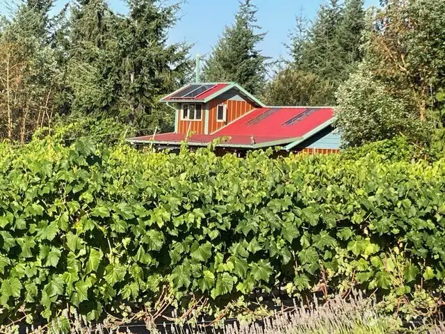 Vineyard and winery