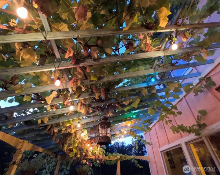 Porch/vine trellis off main residence living room