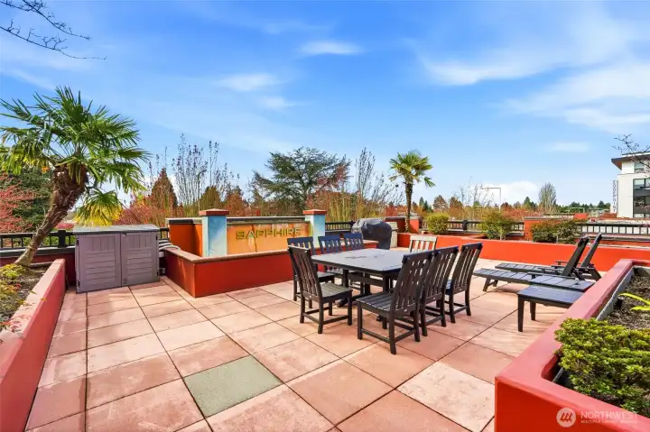 The expansive outdoor terrace includes multiple BBQ stations, making it ideal for entertaining or relaxing outdoors.