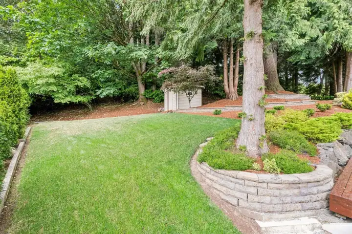 Part of the yard has grass lawn & tool shed
