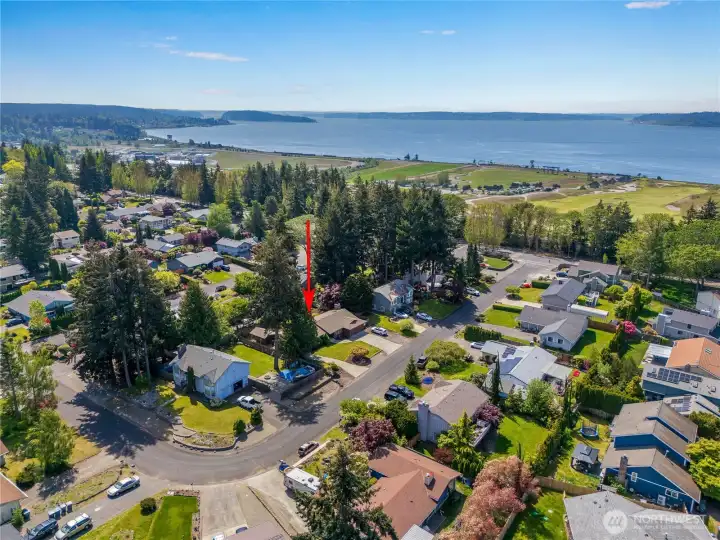 Overhead view and sweeping views of Chambers Bay.