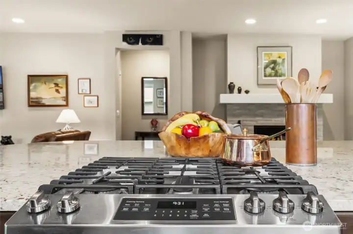 Gas Range with Stove Guard