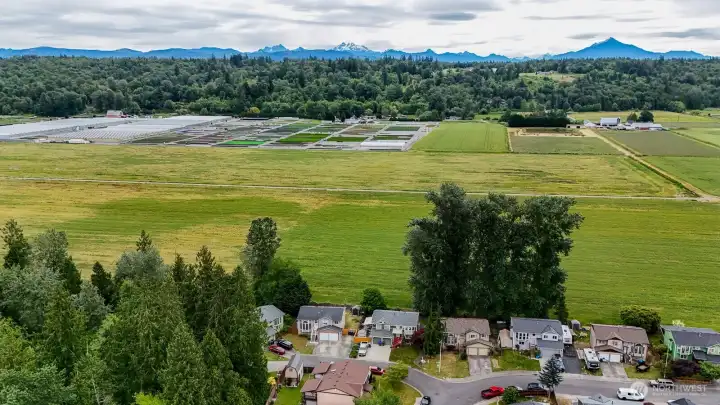 Otter Creek Division 4 is poised on the eastern city limits, next to sprawling agricultural farmland and pastures. Otter Creek Division 4 is poised on the eastern city limits, next to sprawling agricultural farmland and pastures.