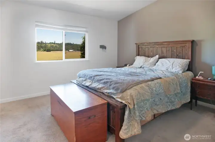 Primary bedroom also overlooks the pastoral scenery. To the right of the bed is the walk-in closet (not pictured). Primary bedroom also overlooks the pastoral scenery. To the right of the bed is the walk-in closet (not pictured).