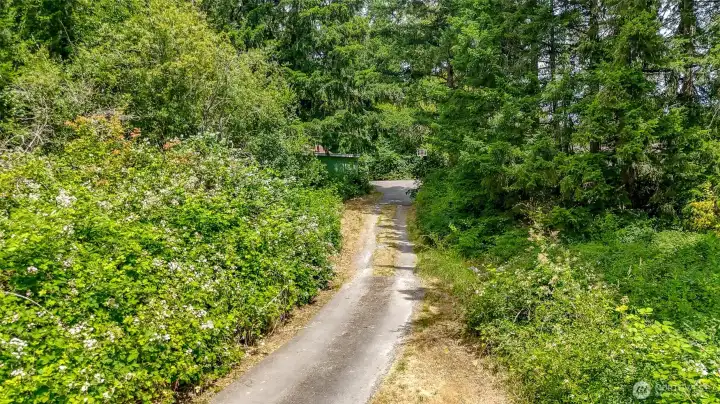 Private driveway leads to secluded lot
