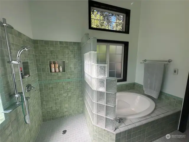 Spacious drive in shower and soaking tub!