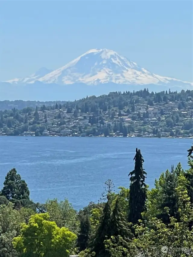 Well hello there! Expansive views from every single room.