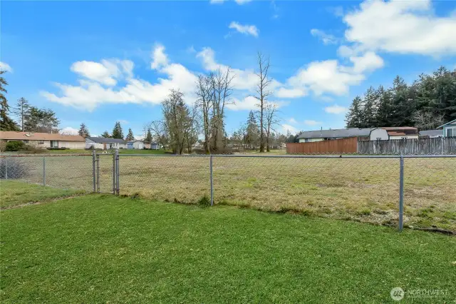 Backyard view...Large community green area for HOA