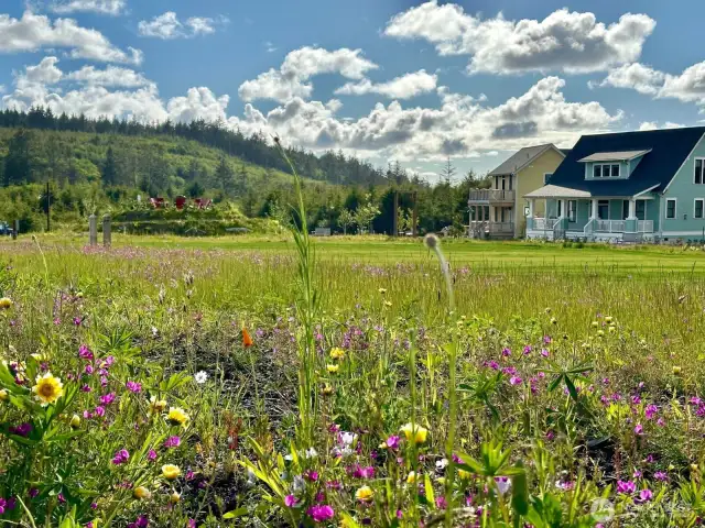Meadowview Park in Fernwood