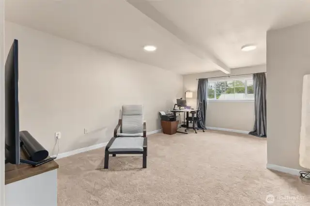 Lower level bedroom/office/rec room