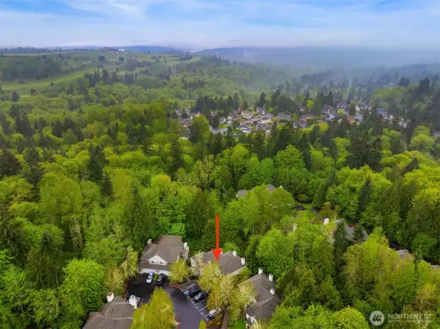Nestled in the trees on the cusp of Cougar Mountain in Bellevue's Lakemont Ridge neighborhood.