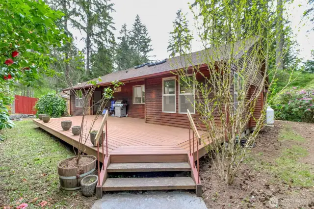 Generous Back Deck