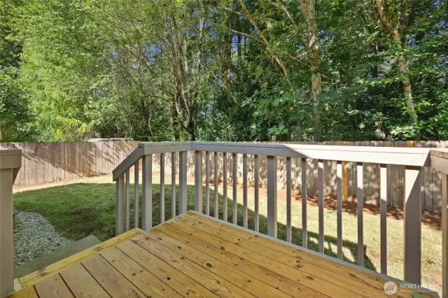 View from Back yard to home