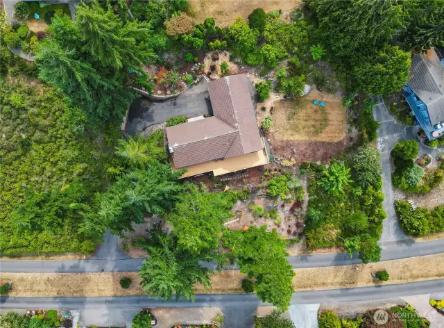 Almost 3/4 of an acre of land!