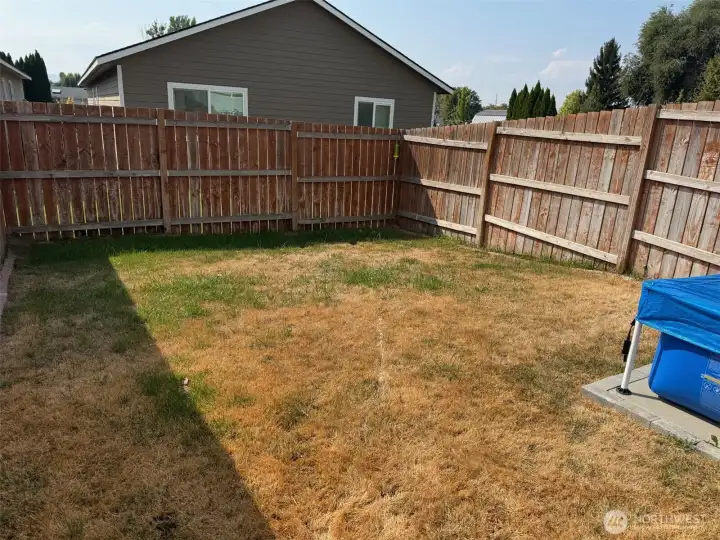 Back yard
