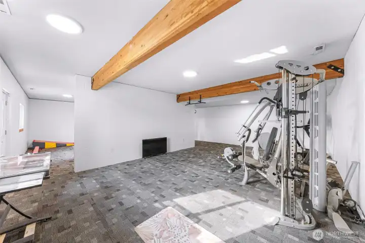 Lower Level/Basement Bonus Room-Gym.