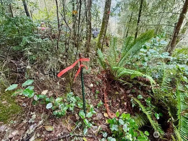 This stake is "very close" to the SW corner but is not a survey stake.   Just downhill from parking area near sign.
