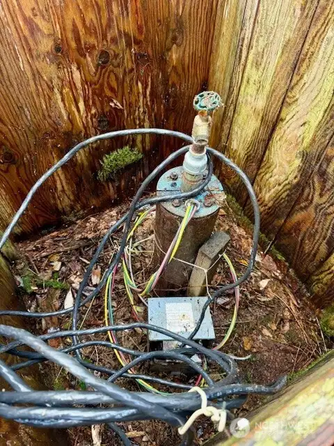 Inside the well house (never used)