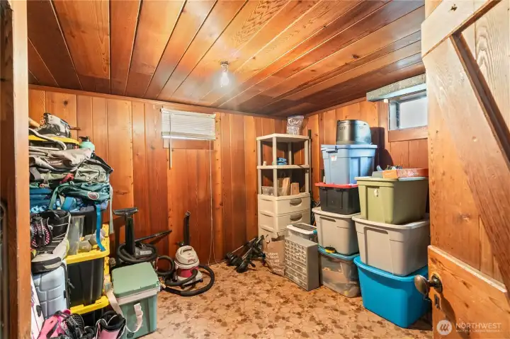 Bonus room in lower level