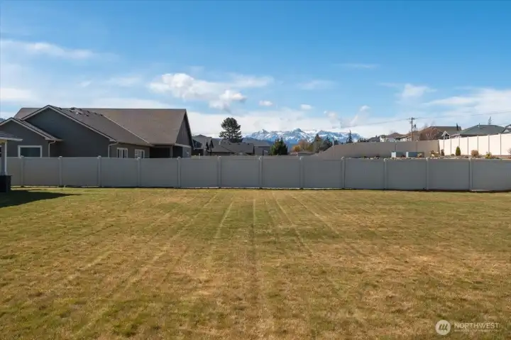 Totally Flat Back Yard!