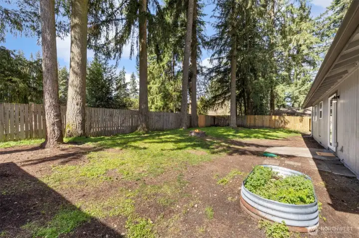 Huge fully fenced backyard.