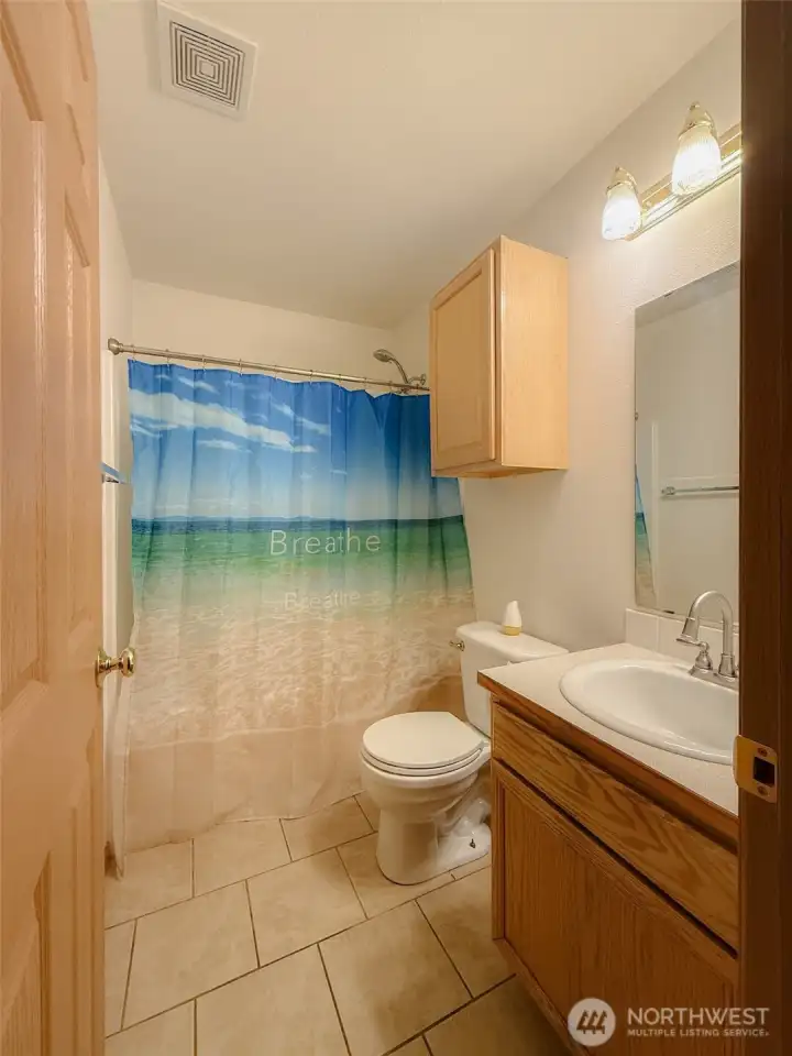 Downstairs Bath off Downstairs Bedroom