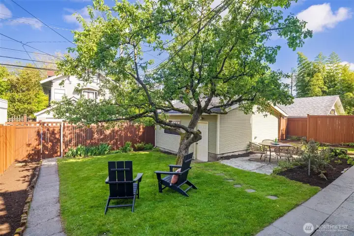 The backyard is serene and offers access to the the garage and the alley.