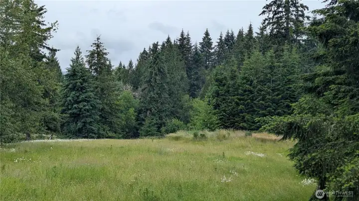 Field Field