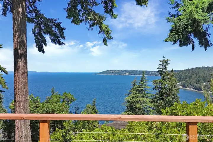 View from the deck