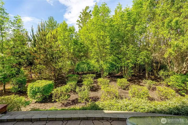 Your own park-like backyard.