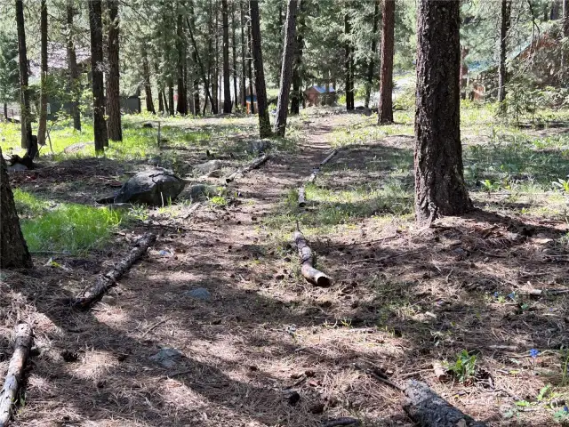 Community trail on the north side of the property.