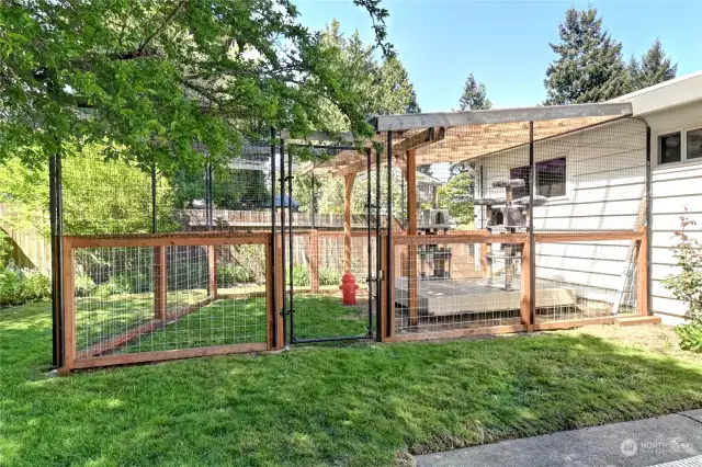 Amazing outdoor pet enclosure with access off the master bedroom!!!