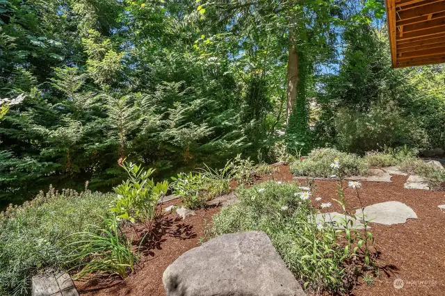 garden space in back yard