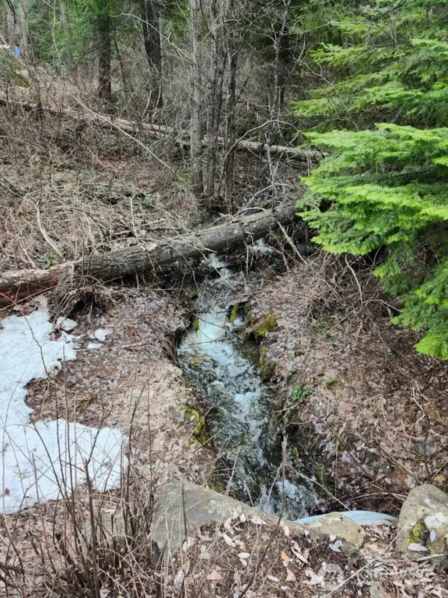 Take in the peaceful sounds of the seasonal creek right from your front door.