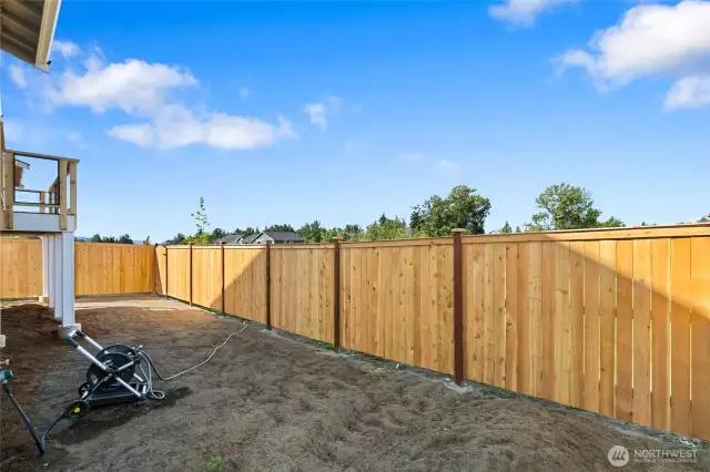 Backyard