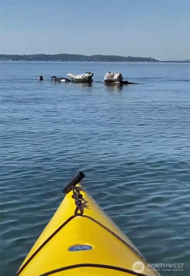 Lots of wildlife to be seen.