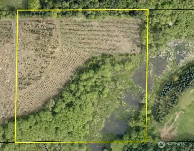 Build site on the top left (NW). Beaver ponds on the bottom right (SE)